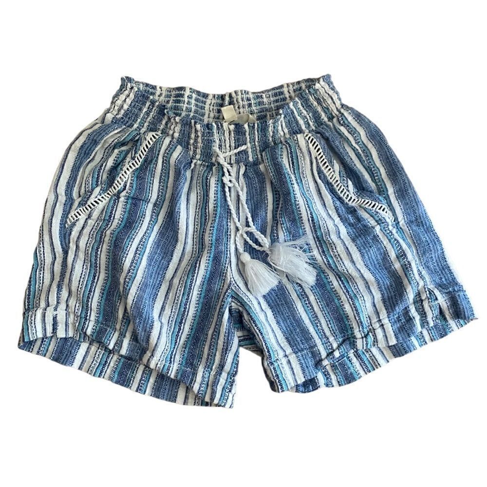 Briggs Blue & White Beach Shorts Size XS